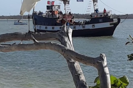 Egret perched on branch with pirate ship in background on a sunny day.