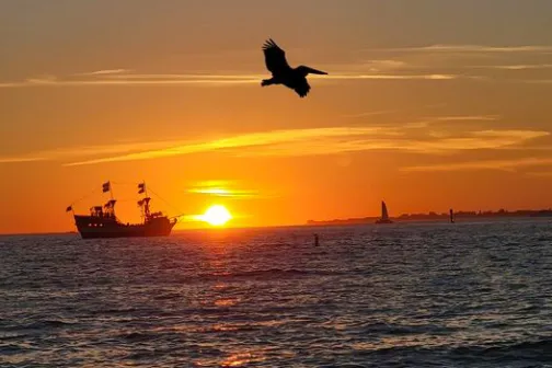 Silhouetted ship and bird at sunset over the ocean.