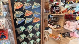 Display of sea-themed magnets in a gift shop with pirate decor.