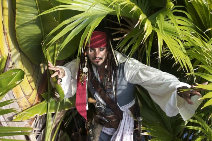 Person dressed as a pirate hiding among tropical palm leaves.